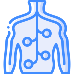 Нарушение осанки