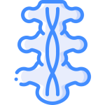 Ишиас (седалищный нерв)